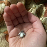 Mother of Pearl Bee Brooch