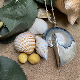 Nautilus Shell Statement Pendant ~ Classic