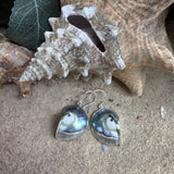 Nautilus Shell Earrings ~ Classic