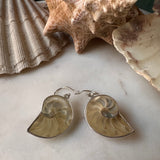 Nautilus Shell Earrings ~ Clear