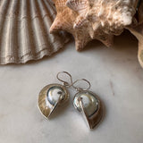 Nautilus Shell Earrings ~ Clear