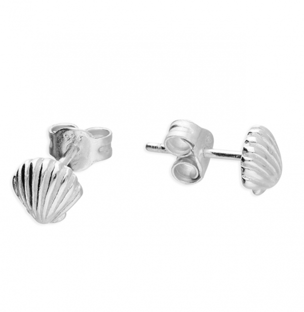 silver cockle shell studs