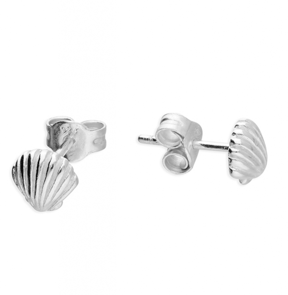 silver cockle shell studs