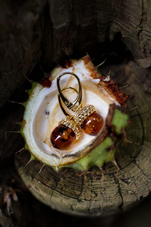 golden amber acorn earrings in conker shell