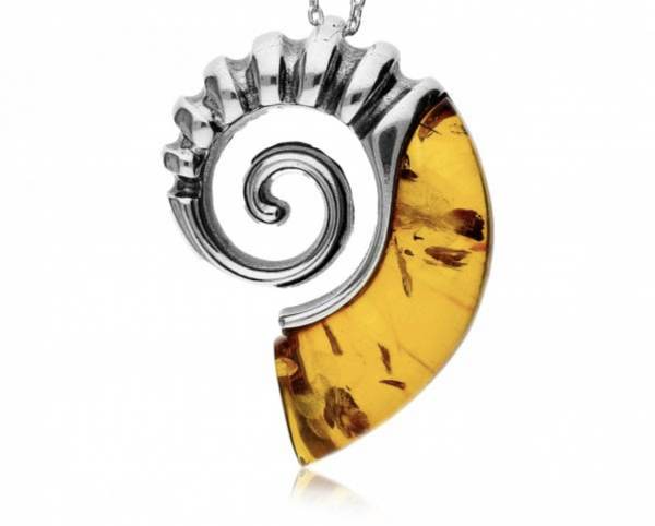 amber ammonite pendant