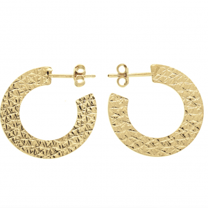 golden flat hoop earrings