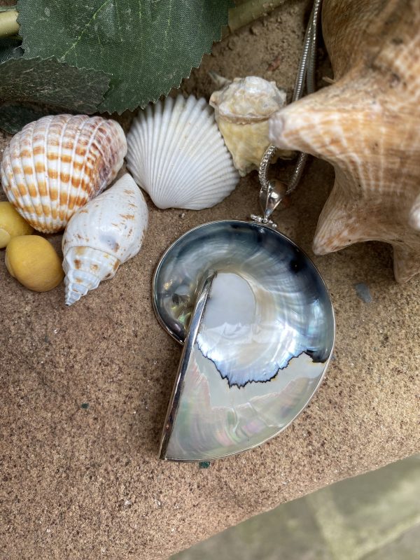 nautilus shell pendant close