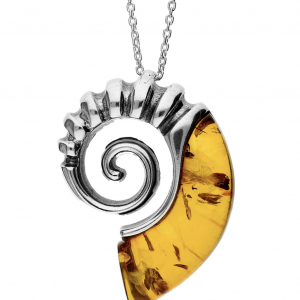 amber ammonite pendant extra large