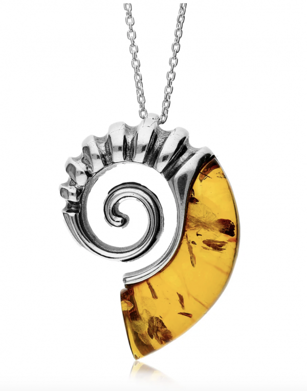 amber ammonite pendant extra large